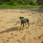 Mit Tina und Stephan am Strand 3