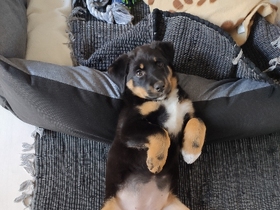 Einfach mal abhängen