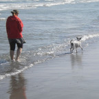 Strandspaziergang