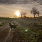 Morgenrunde bei 1°C und herrlicher Luft