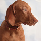 Suri 6