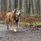 Heute im Wald