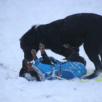 Haku im Schnee