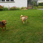 Ballspielen mit Opa