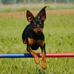 Training