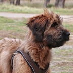 ich bin jetzt schon 4 Monate