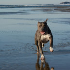 Oregon, Beverley Beach