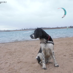 Ein Tag am "Meer"