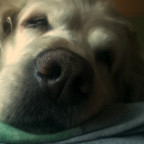 Nele (12)