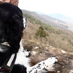 Eine Wanderung auf die Burg lohnt sicht