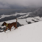 Schnee liegt auf dem Land