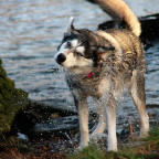 Angie und Wasser