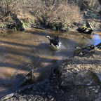 Badesaison eingeläutet ?