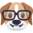 nerd-dog-face