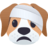 dog-face-w-head-bandage