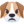pouting-dog-face