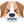 confounded-dog-face