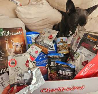 Futtercheck für Hunde jetzt entdecken